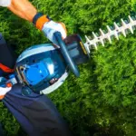 Hovenier offerte vergelijken